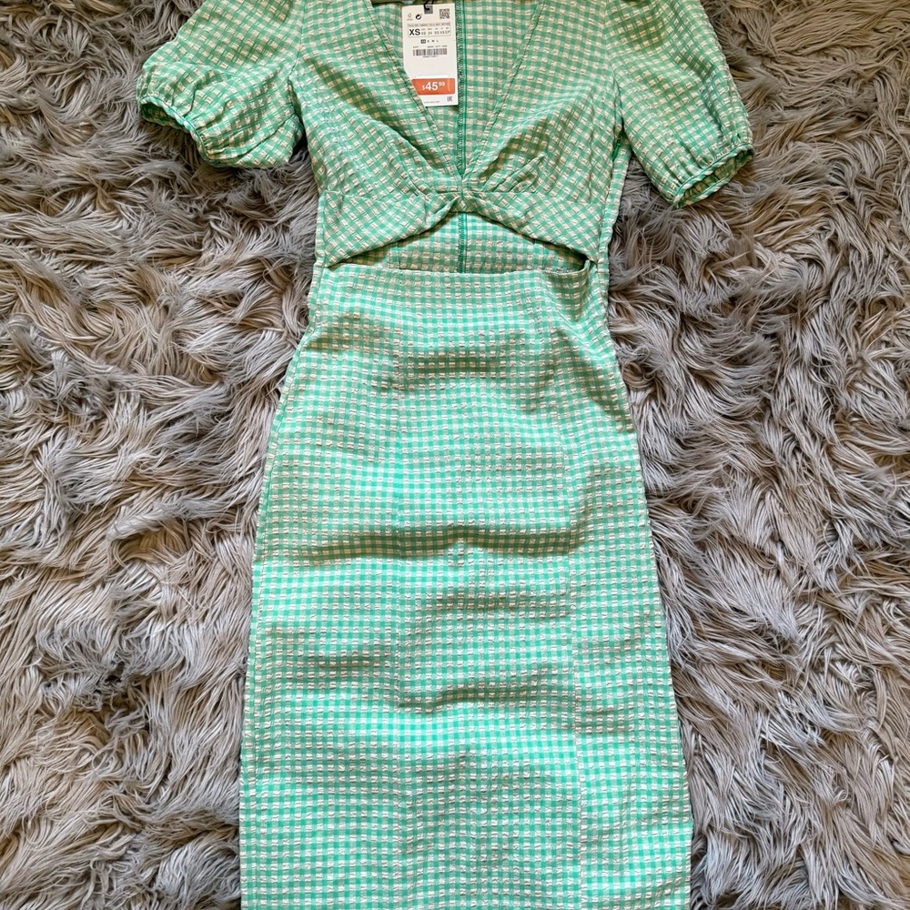 Zara Mint Gingham Midi Dress